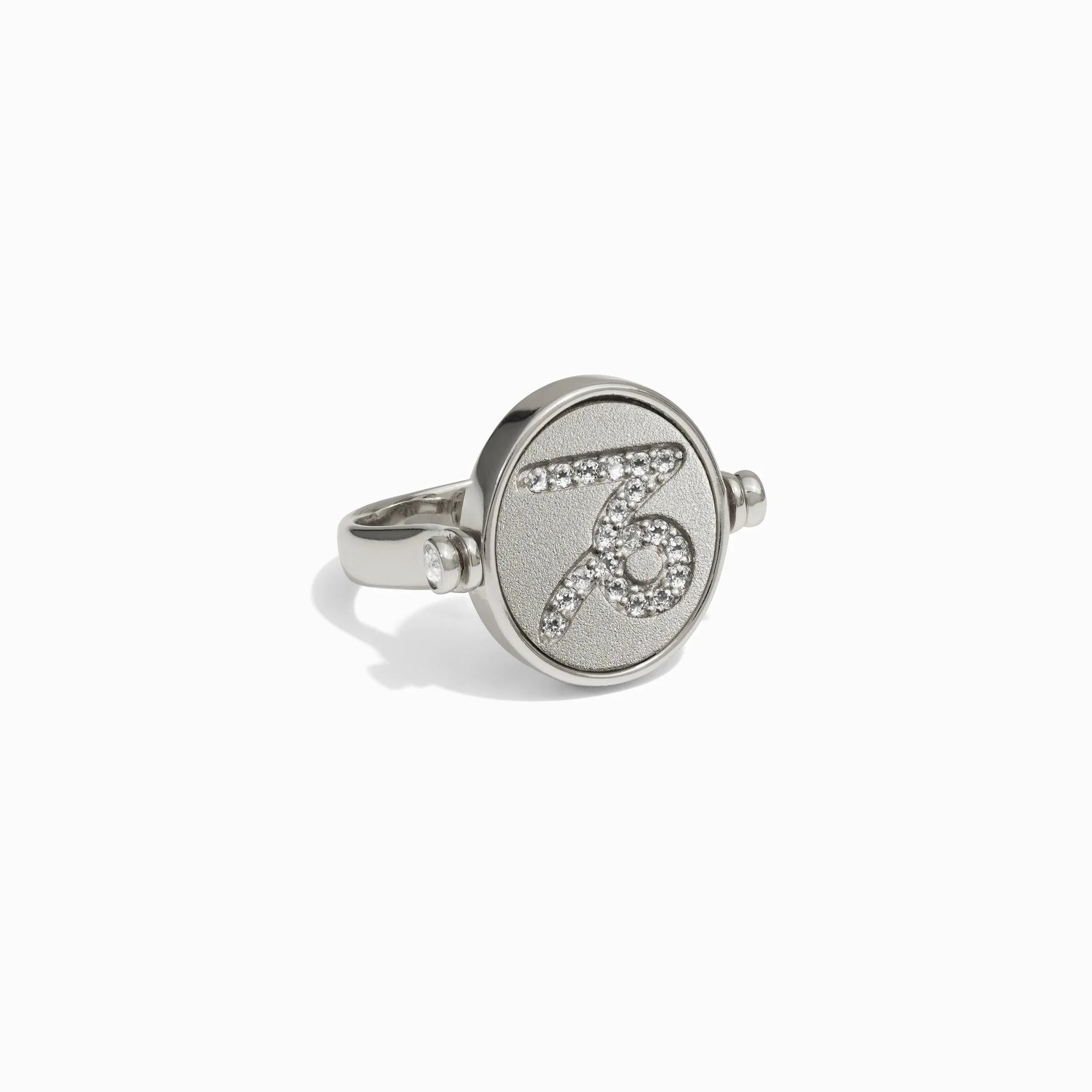 Capricorn & Earth Flip Ring | Sterling Silver
