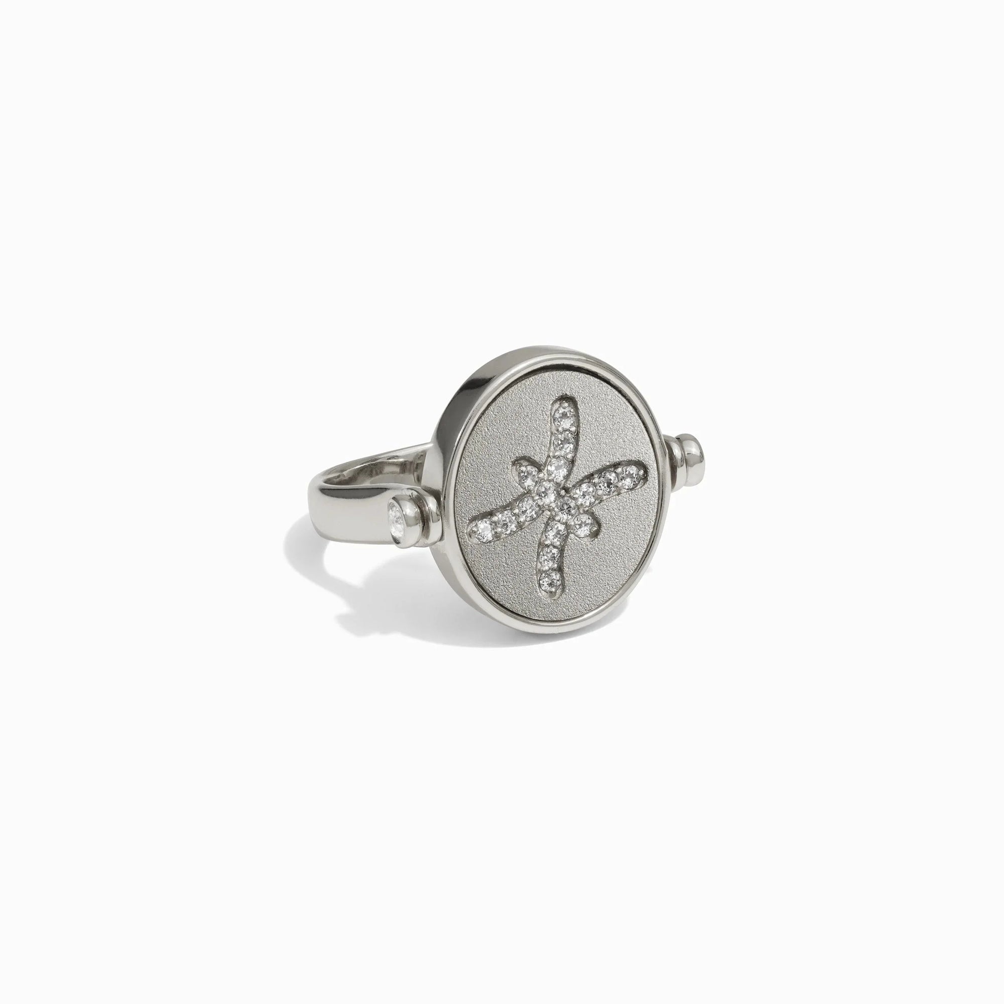 Pisces & Water Flip Ring | Sterling Silver