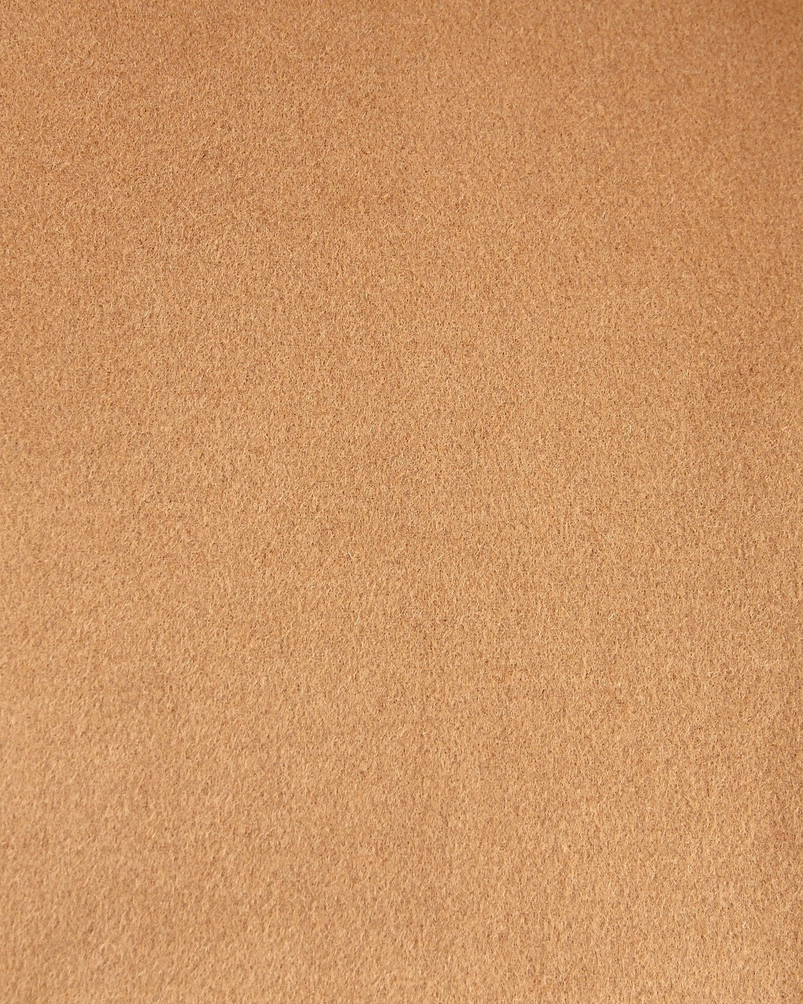 fabric-camel-stay-wild-3_2df4421f-c6c2-4220-aaa9-df34915d7d8a.jpg