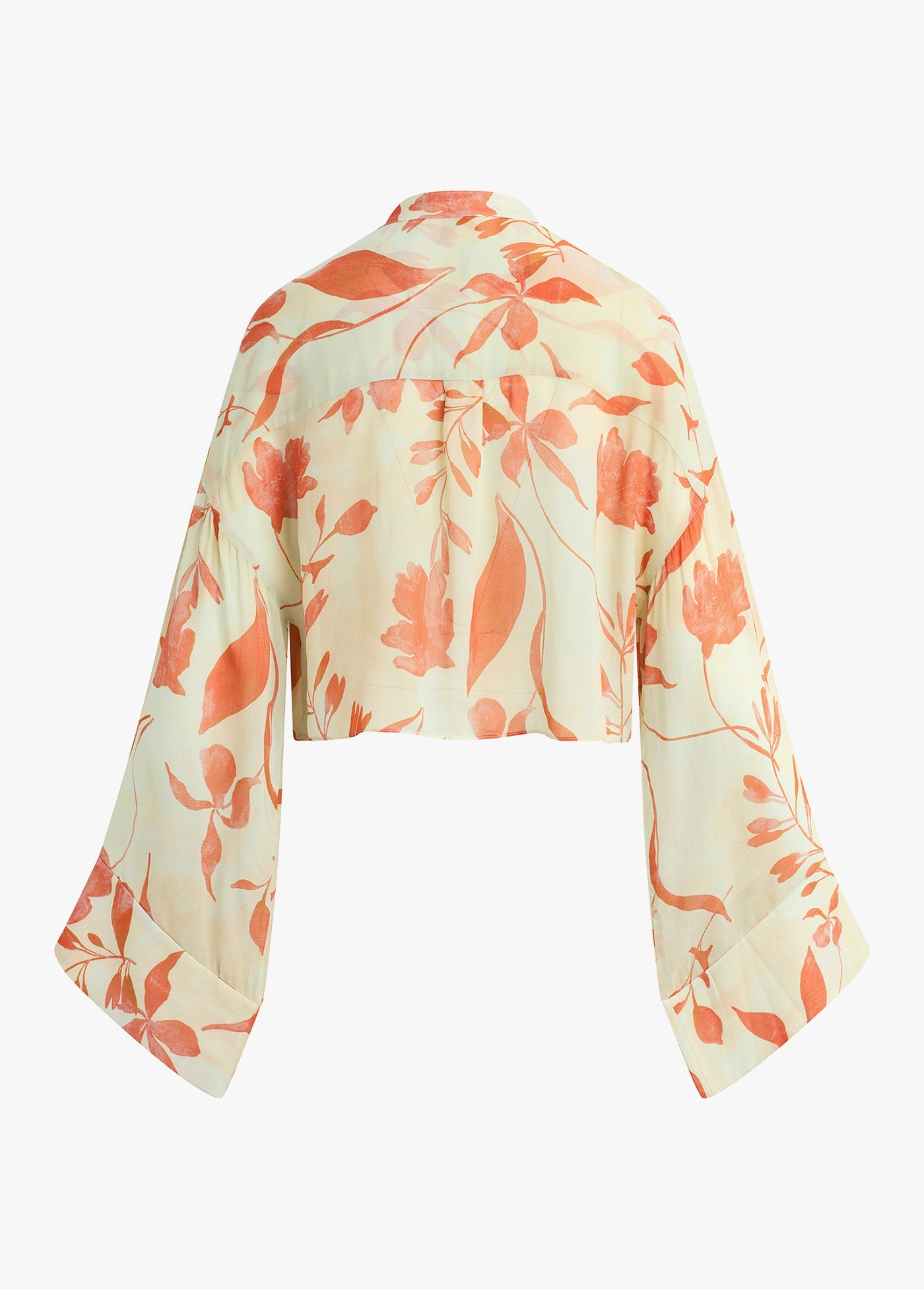 moonbeam floral