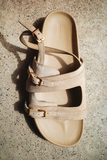 Womens | Carey Suede Sport Sandal | Desert