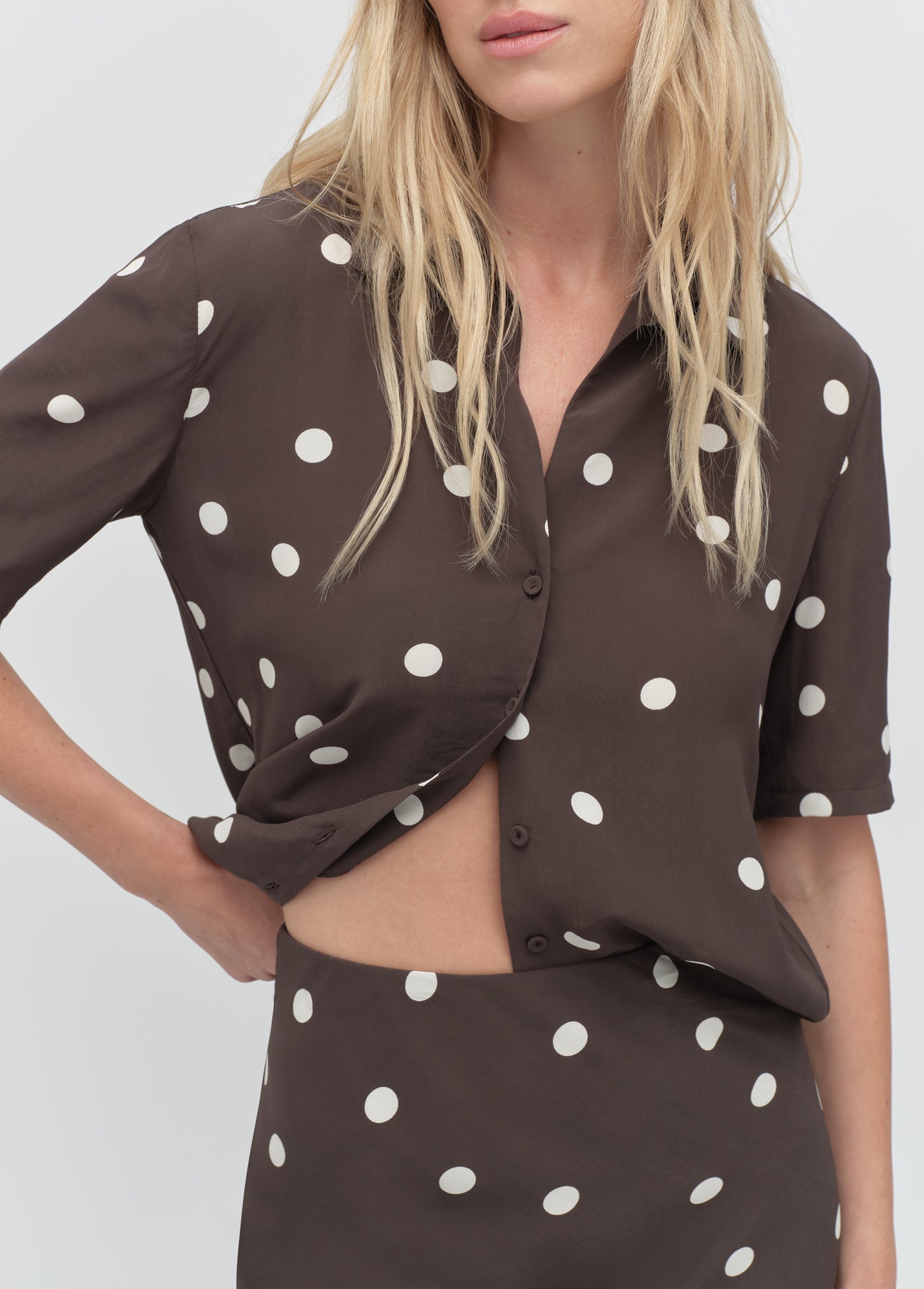 espresso polka dot