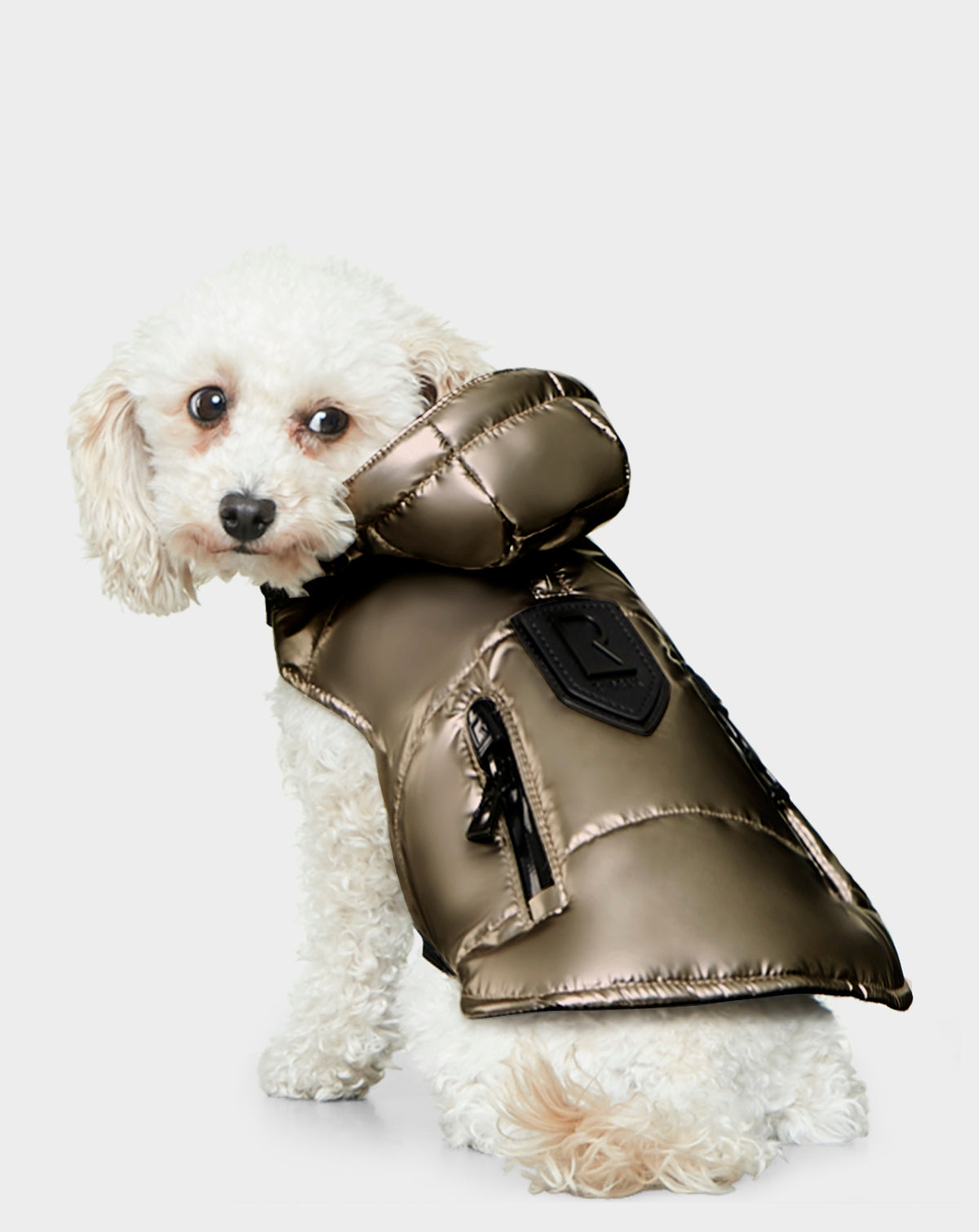A small white curly-haired dog sits and looks back over its shoulder, wearing the Rudsak BUDDIE - 9122520 METALLIC CHOCOLATE puffer vest with a hood and zippered pockets, against a plain light background.
