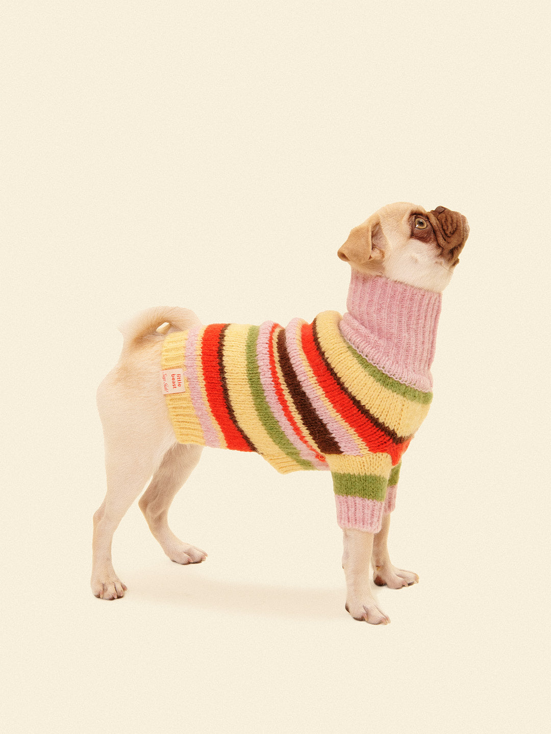 Dog Sweater | Pink Stripe