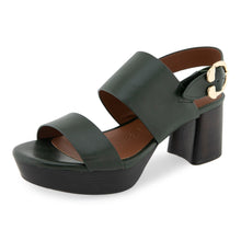 Camera | Fir Green Leather