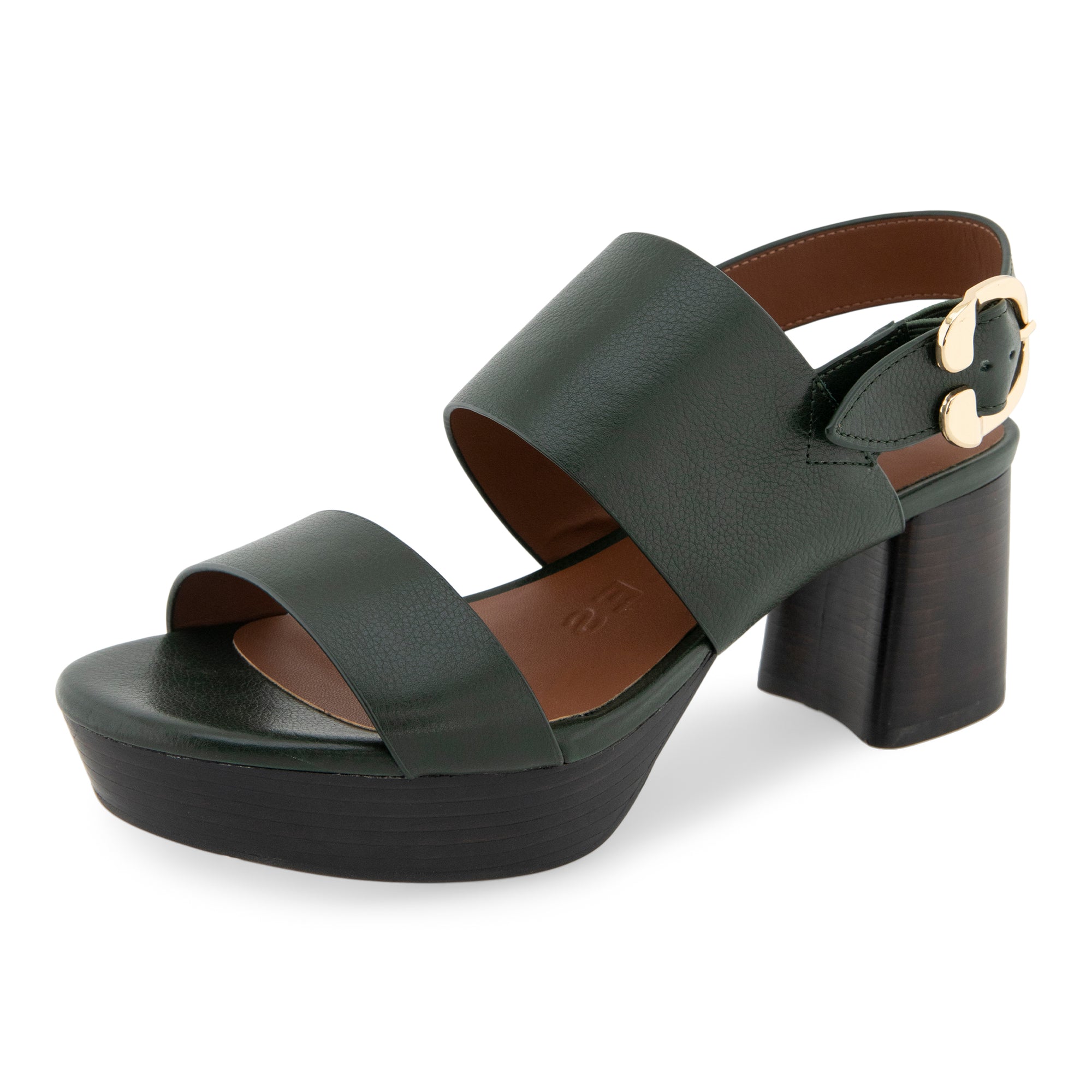 Camera | Fir Green Leather