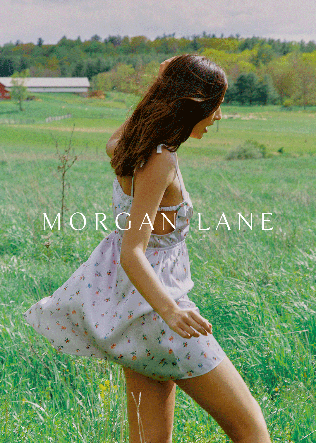 Cozyland and Morgan Lane