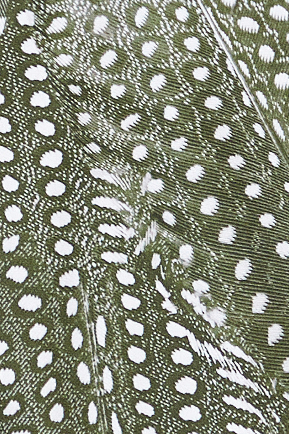 Ilha Top | Olive Guinea