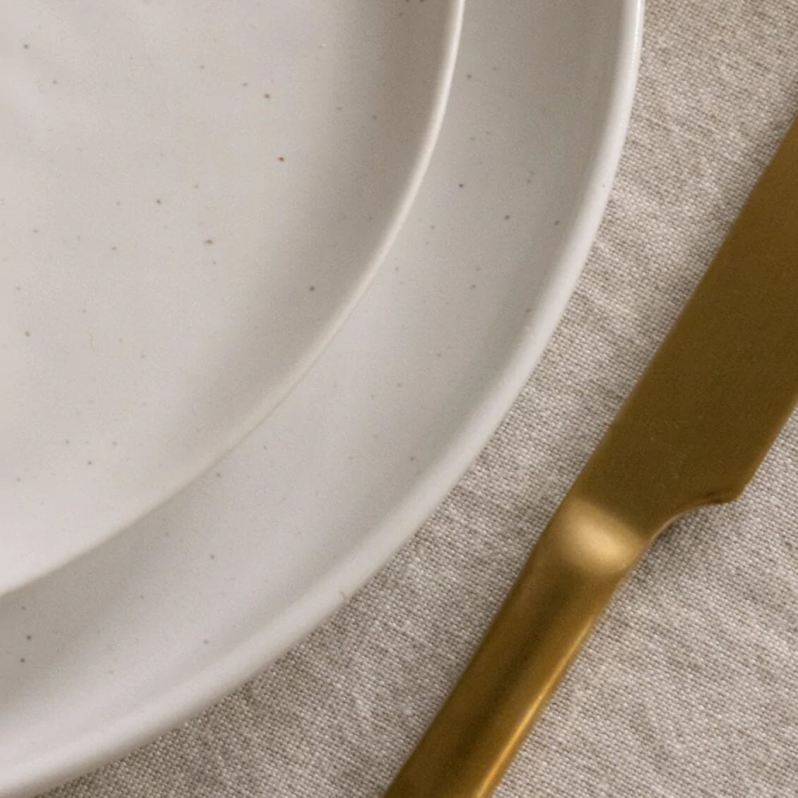 Dinner Plates | Speckled White
